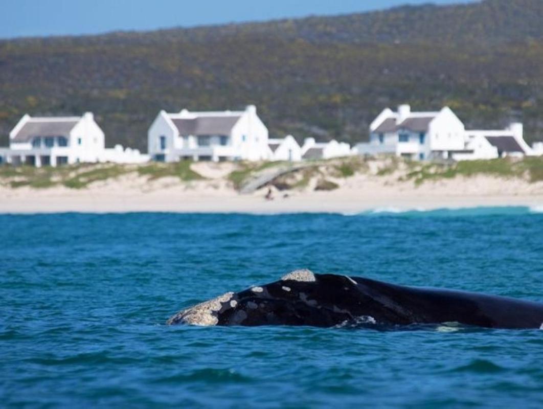 Zuidste Huisie Fisherman'S Cottage Struisbaai Luaran gambar